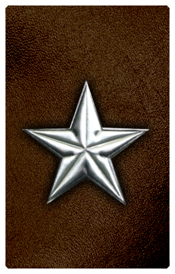 DNSHERT C 430 SL BR Star Silver Brown